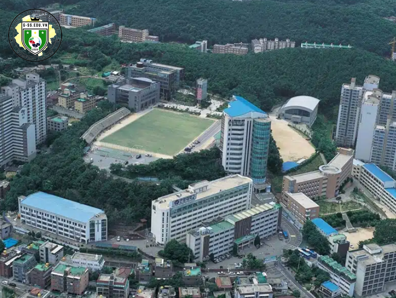 Đại học Anyang Hàn Quốc