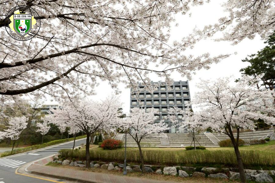 Đại học Myongji university Hàn Quốc