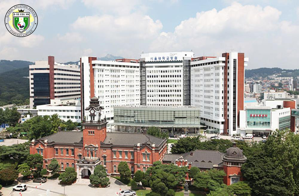 đại học quốc gia seoul