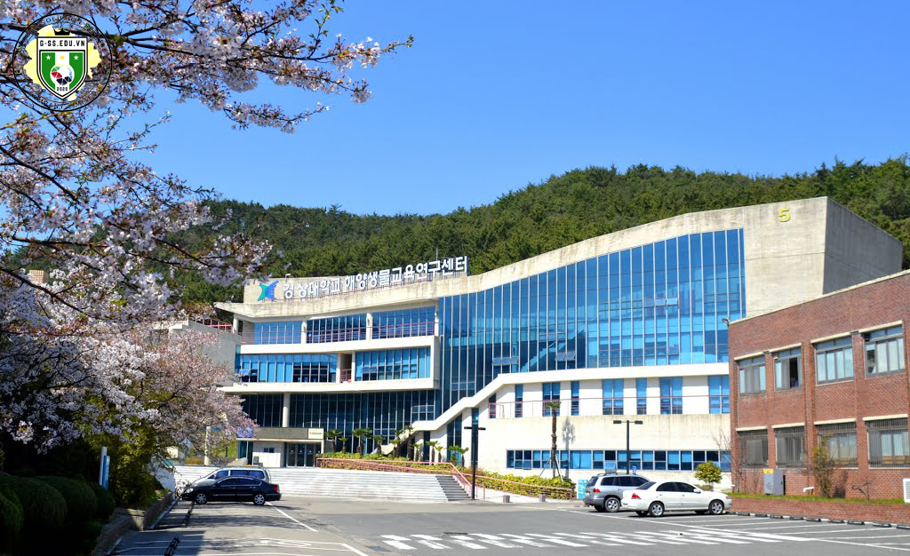 Đại học Quốc gia Gyeongsang