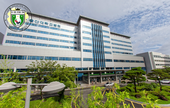 Trường Đại Học Ulsan Hàn Quốc