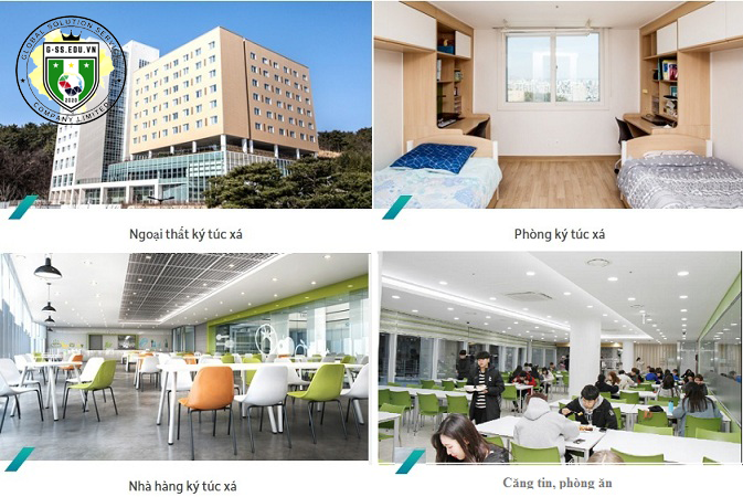 Trường Đại Học Ulsan Hàn Quốc