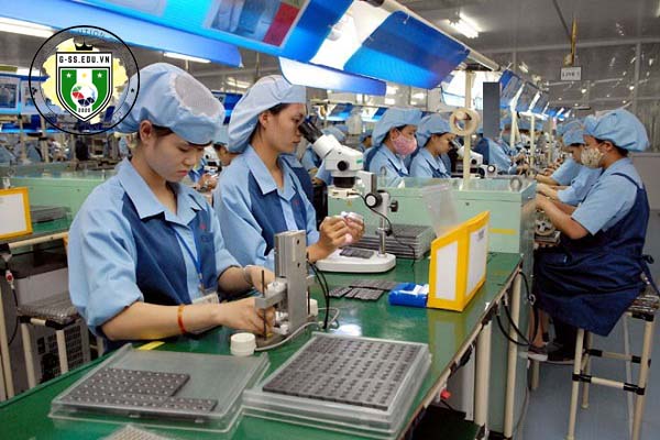 ngành Kỹ thuật và Công nghệ Đài Loan